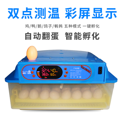 小型孵化器选购指南 从9枚到12枚，家庭孵化的理想选择