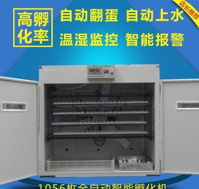 鸟类孵化机与鹧鸪孵化器 现代孵化设备的选择与使用指南